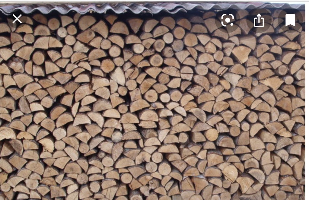 Ben & Jerrys Firewood | 10537 Kerr Rd, Rodney, ON N0L 2C0, Canada | Phone: (519) 860-0308