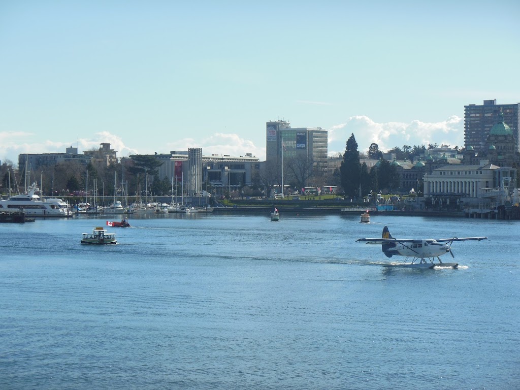 Triumph Social Media Marketing | 408-50 Songhees Rd, Victoria, BC V9A 7J4, Canada | Phone: (604) 733-5406