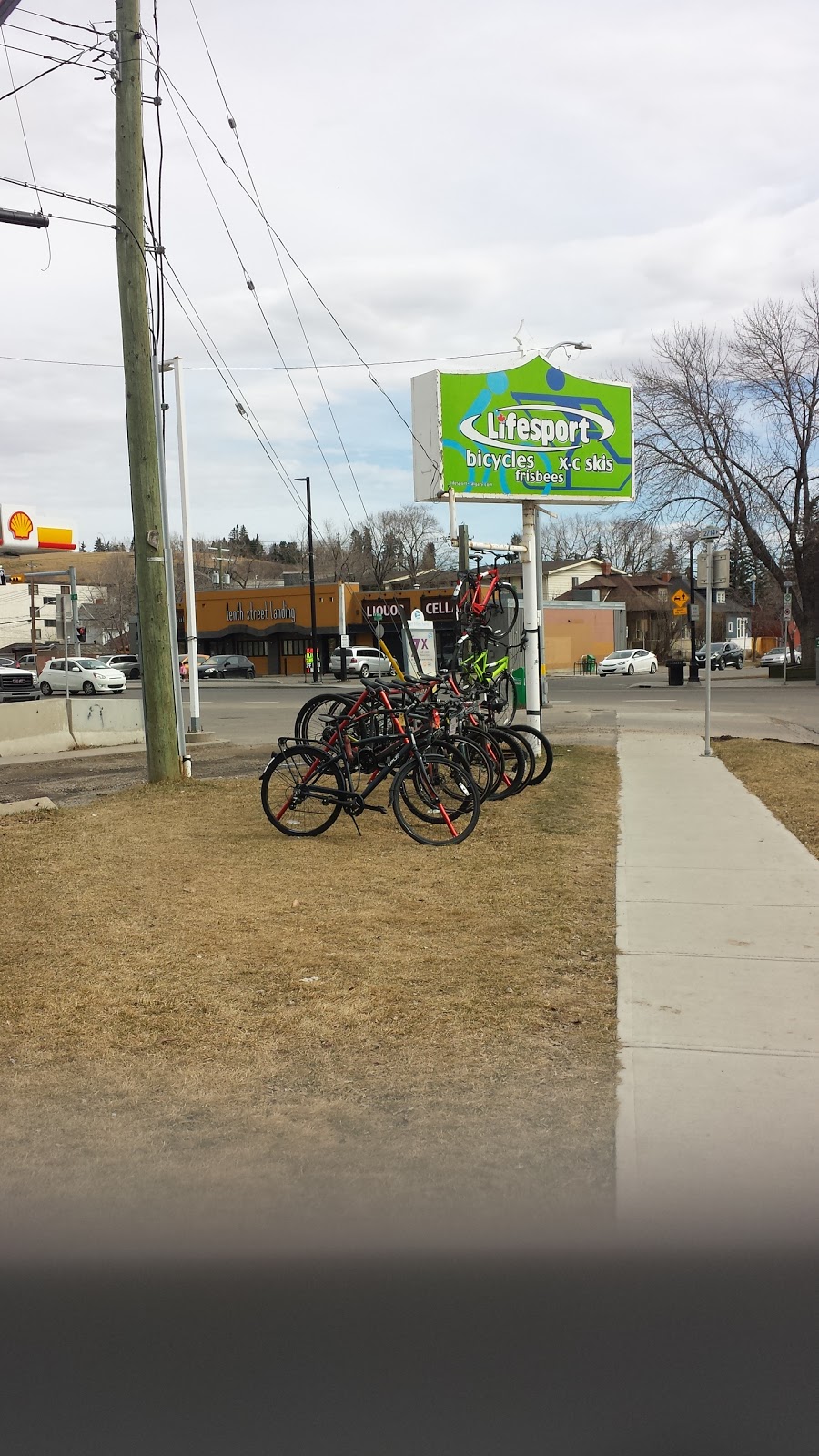 Lifesport | 1110 Gladstone Rd NW, Calgary, AB T2N 3E7, Canada | Phone: (403) 270-4501