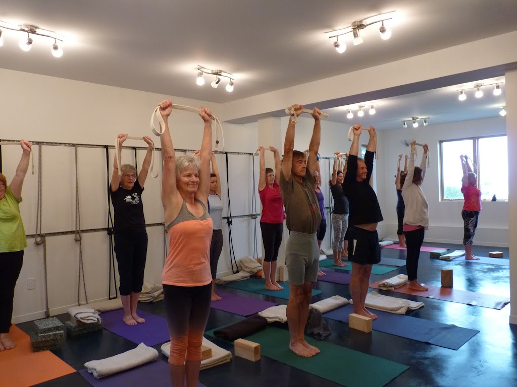 Yogaview | 89 W Arm Branch Rd, Afton Station, NS B0H 1A0, Canada | Phone: (902) 318-4177