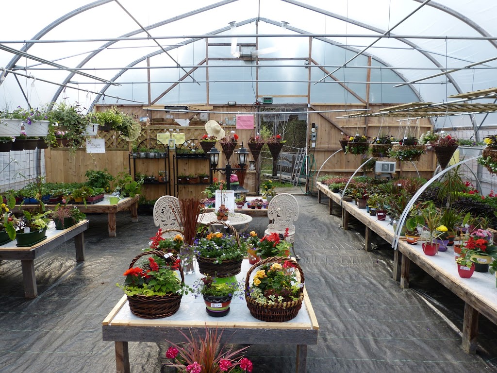 La Halte Aux Fleurs | 1326 QC-323, Amherst, QC J0T 2L0, Canada | Phone: (819) 341-1326