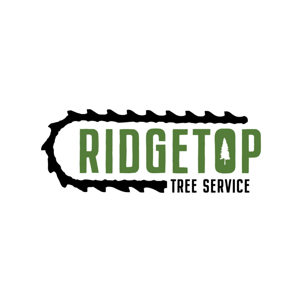 Ridgetop Tree Service | 385741 New Durham Rd, Burgessville, ON N0J 1C0, Canada | Phone: (519) 532-3613