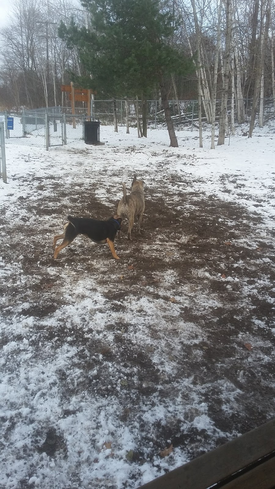Staff Sergeant Larry Bigley K-9 Park | John St S, Gravenhurst, ON P1P 1J9, Canada | Phone: (705) 687-3412
