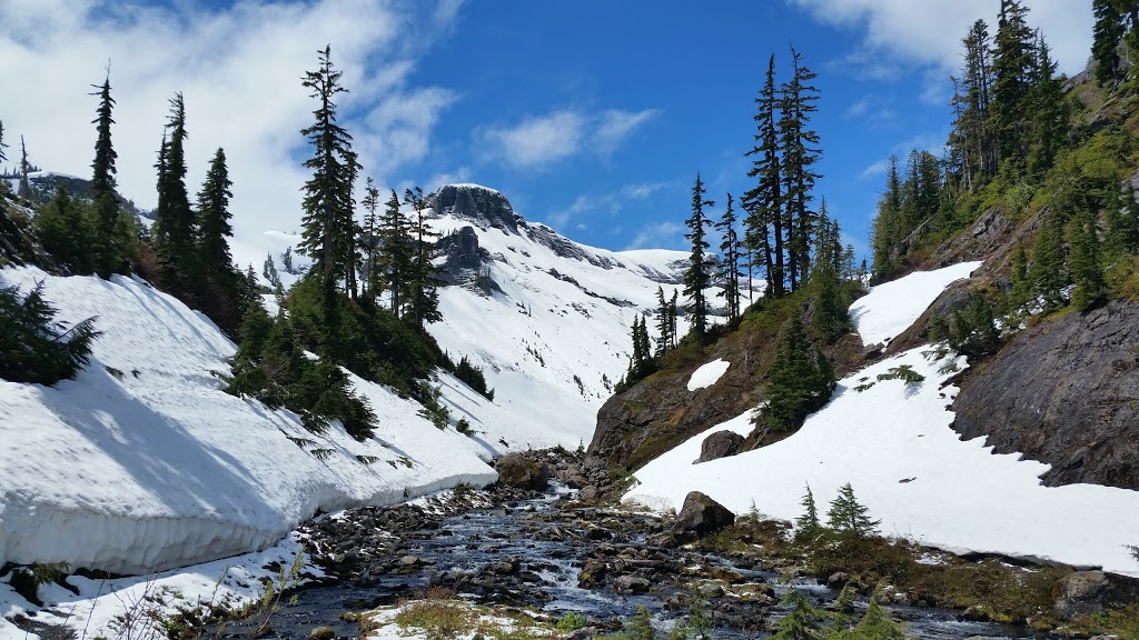 Mount Baker Visitor Center | 7509 Mt Baker Hwy, Maple Falls, WA 98266, USA | Phone: (360) 599-1518