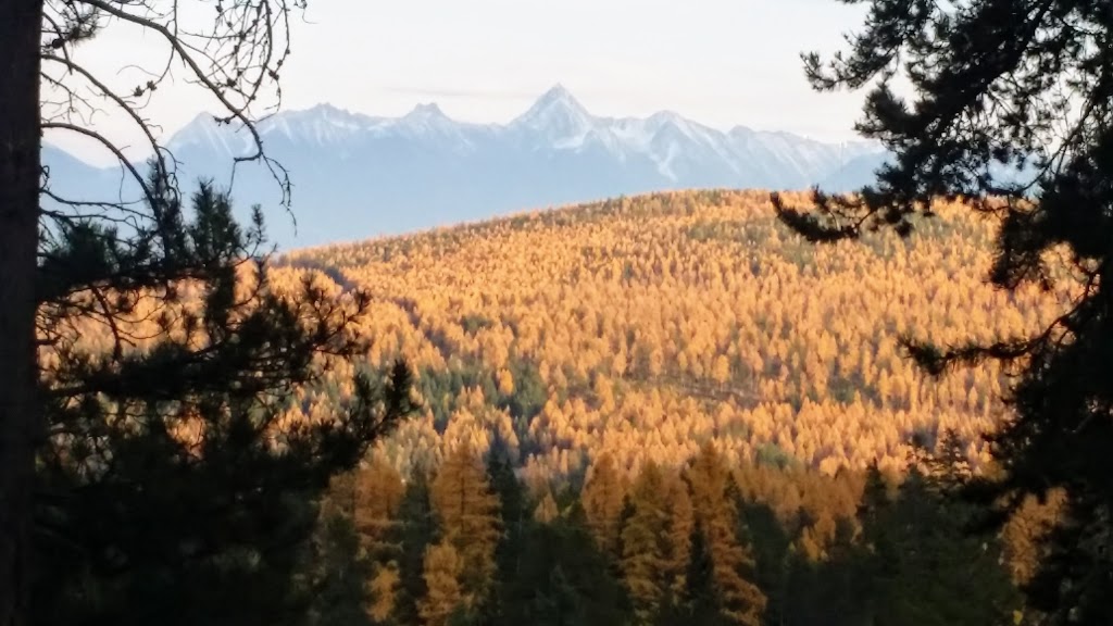 Trickle Creek Condos | 880 Dogwood Dr, Kimberley, BC V1A 3E9, Canada | Phone: (800) 525-6622