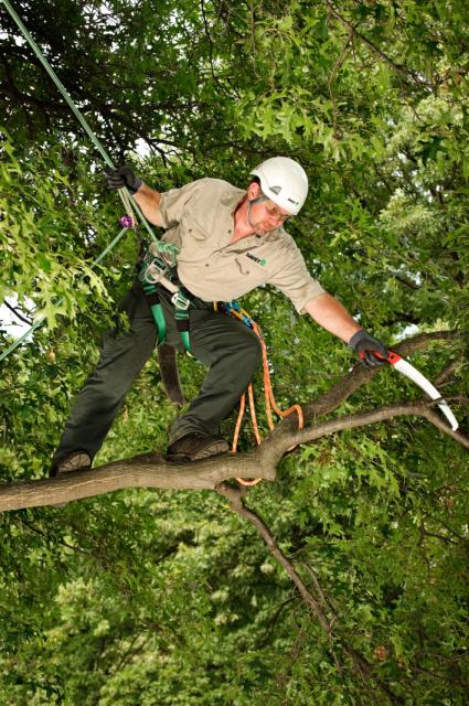 Davey Tree Expert Co. of Canada, Limited | 4063 Hampshire Mills Line, Orillia, ON L3V 6H3, Canada | Phone: (705) 327-1955