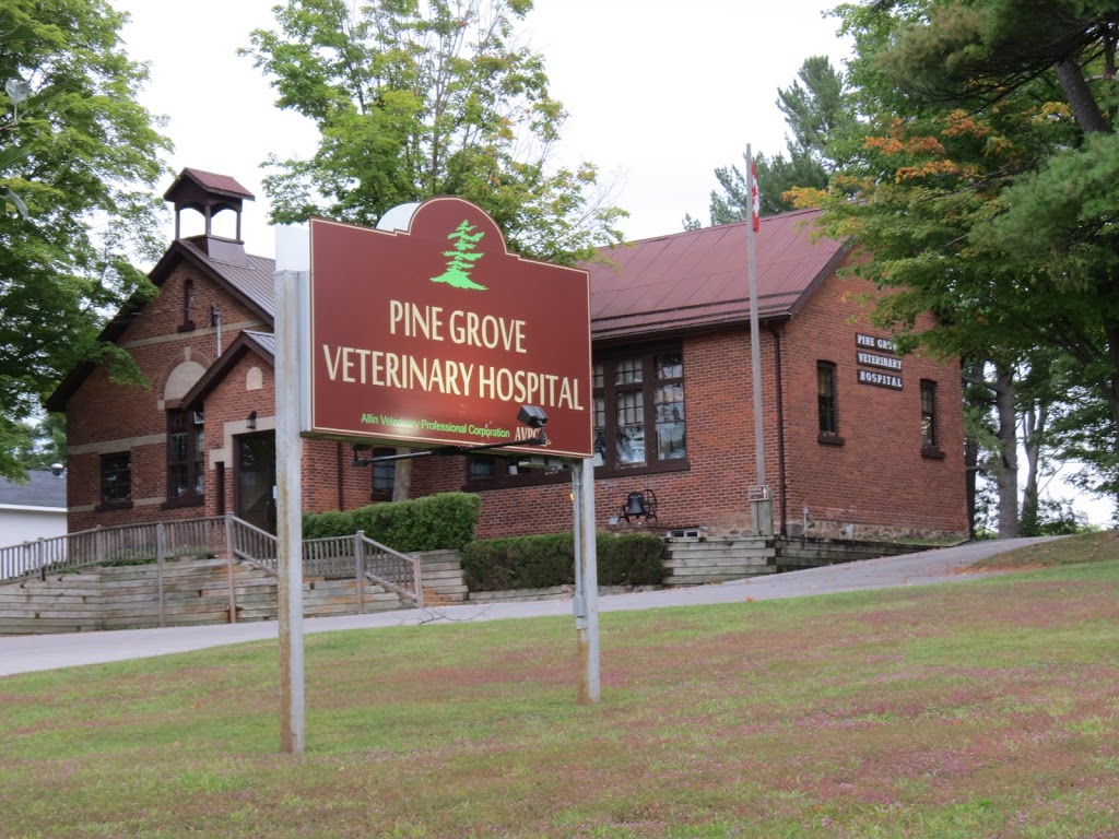 Pine Grove Veterinary Hospital | 4351 Burnside Line, Severn, ON L3V 0W1, Canada | Phone: (705) 325-2279