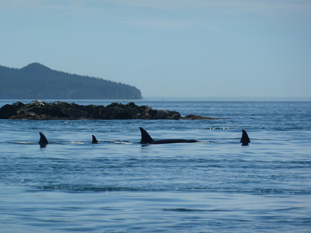 San Juan Islands National Monument | Islands National Monument, Lopez Island, WA 98261, United States | Phone: (360) 468-3754