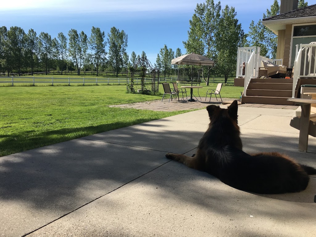 SPIRIT RANCH | 30 Street E, Foothills County, AB T1S 1A2, Canada | Phone: (403) 669-4035