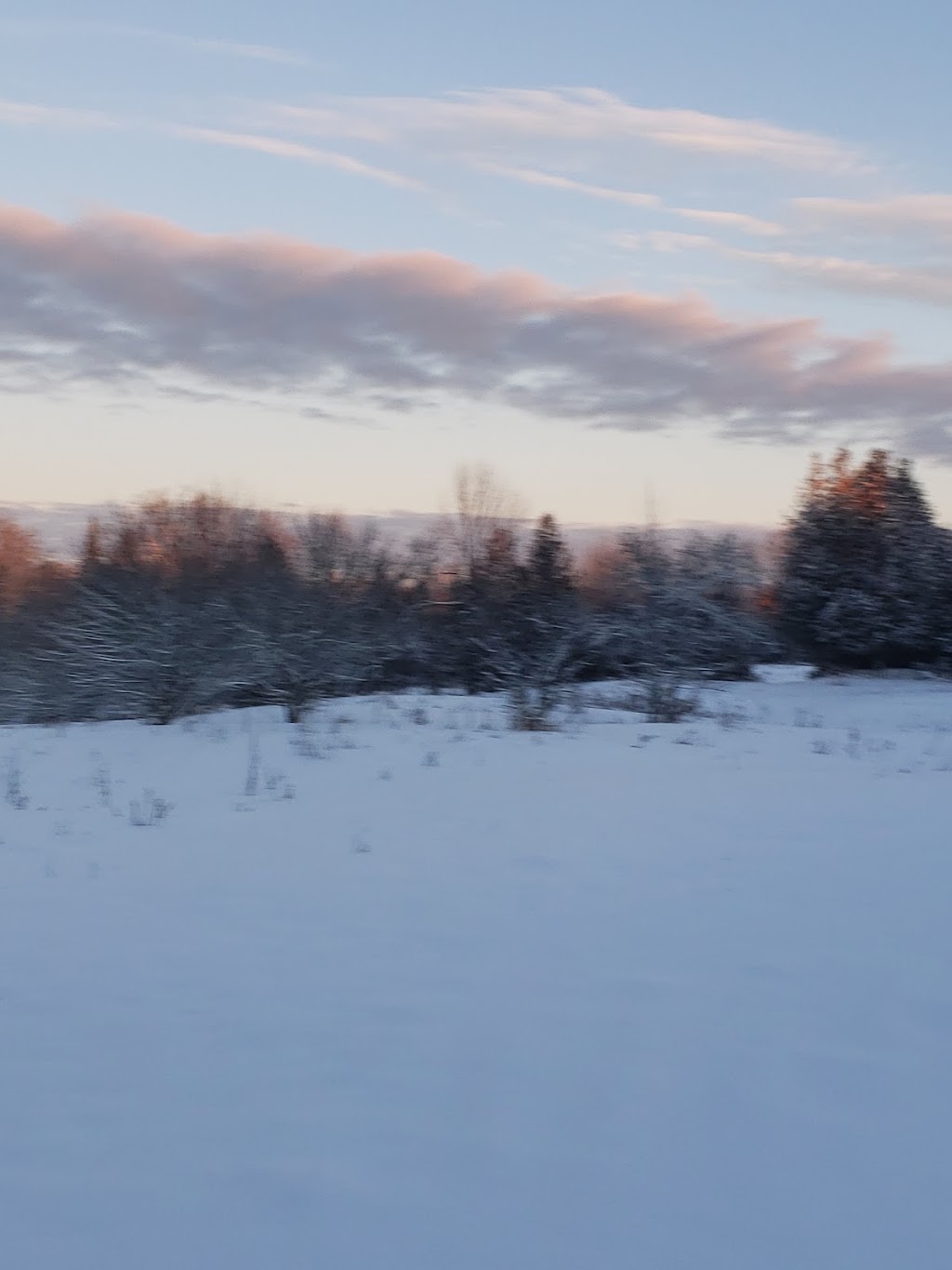 Evamar Farms Equestrian | 4046 Hwy 28 North, Lakefield, ON K0L 2H0, Canada | Phone: (705) 654-4781