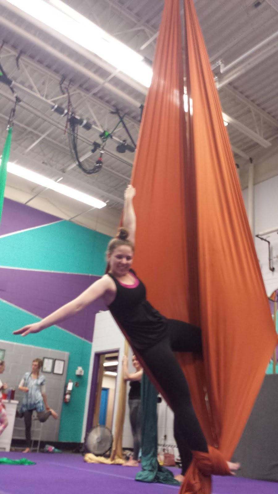Paradisaea Aerial Dance | 6017 Valley Way, Niagara Falls, ON L2E 1X9, Canada | Phone: (289) 214-3624
