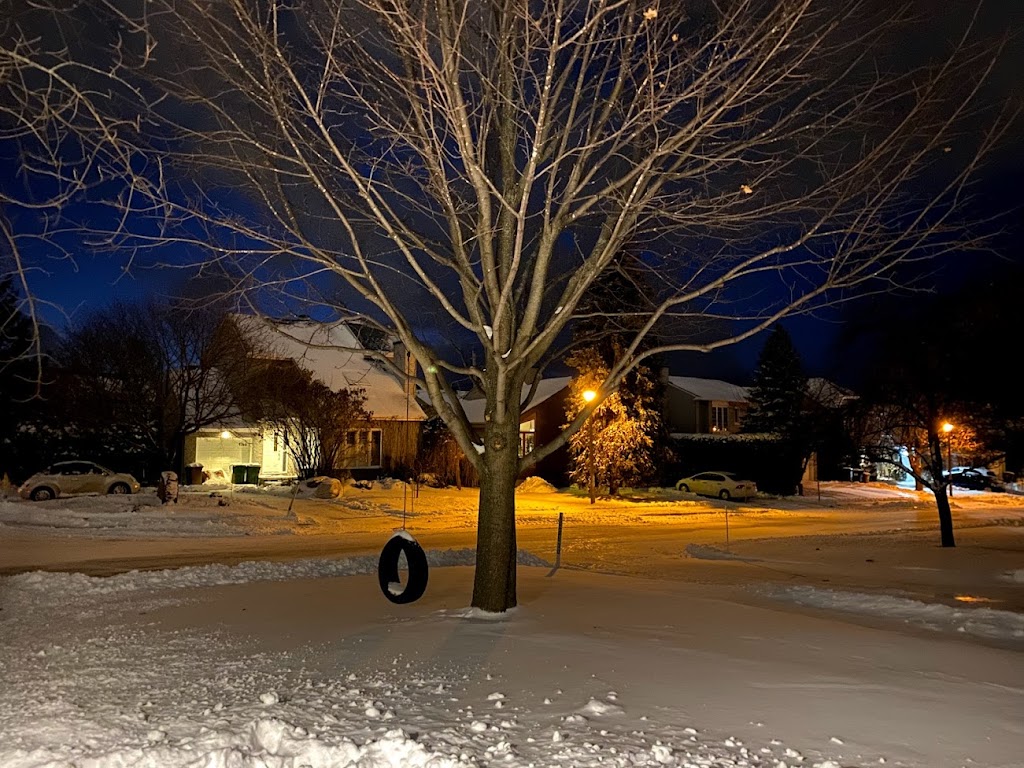Émondage Red Ladder Tree Services Inc. | 2525 Pl. du Louvet, Saint-Lazare, QC J7T 3L7, Canada | Phone: (514) 696-5205