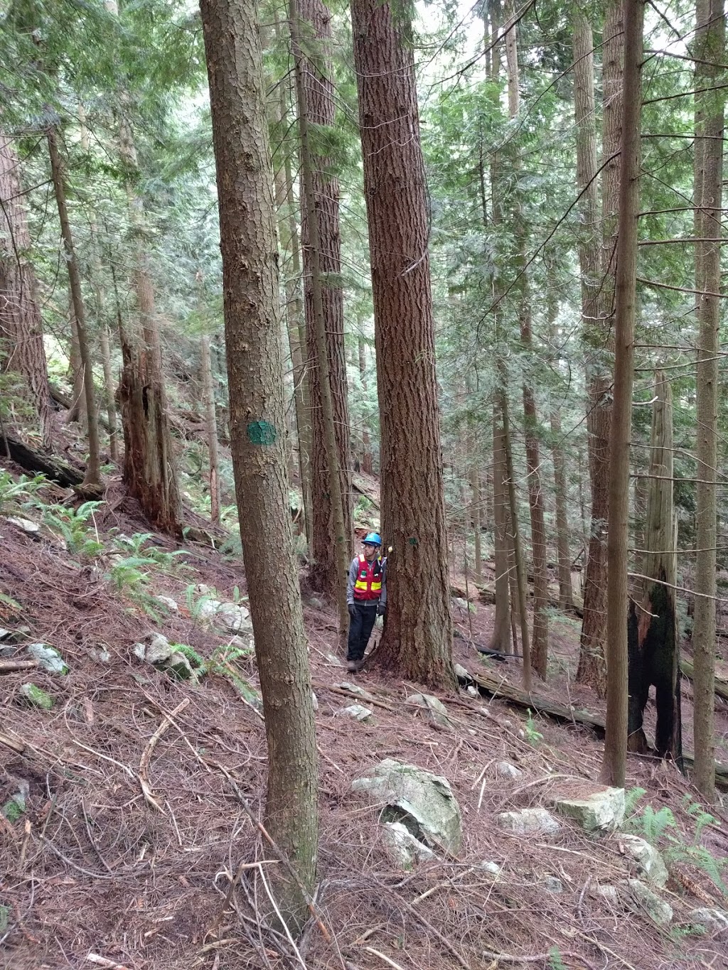 QAI Labs Outdoor Test Site | Marc Rd, Maple Ridge, BC V4R 2G5, Canada | Phone: (877) 461-8378