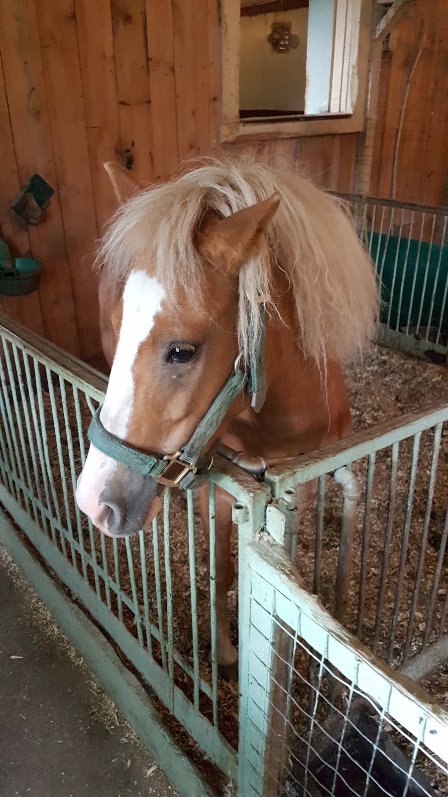 Farm Du Bassin | 1040 Rang Saint Jean Baptiste, Saint-Joachim-de-Courval, QC J1Z 2E2, Canada