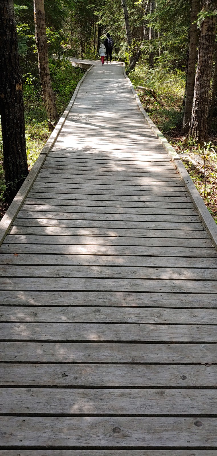 Brokenhead Wetland Interpretive Trail | 1 km south of and 12, 59 Provincial Trunk Hwy 12, Beaconia, MB R0E 0B0, Canada | Phone: (204) 250-4359