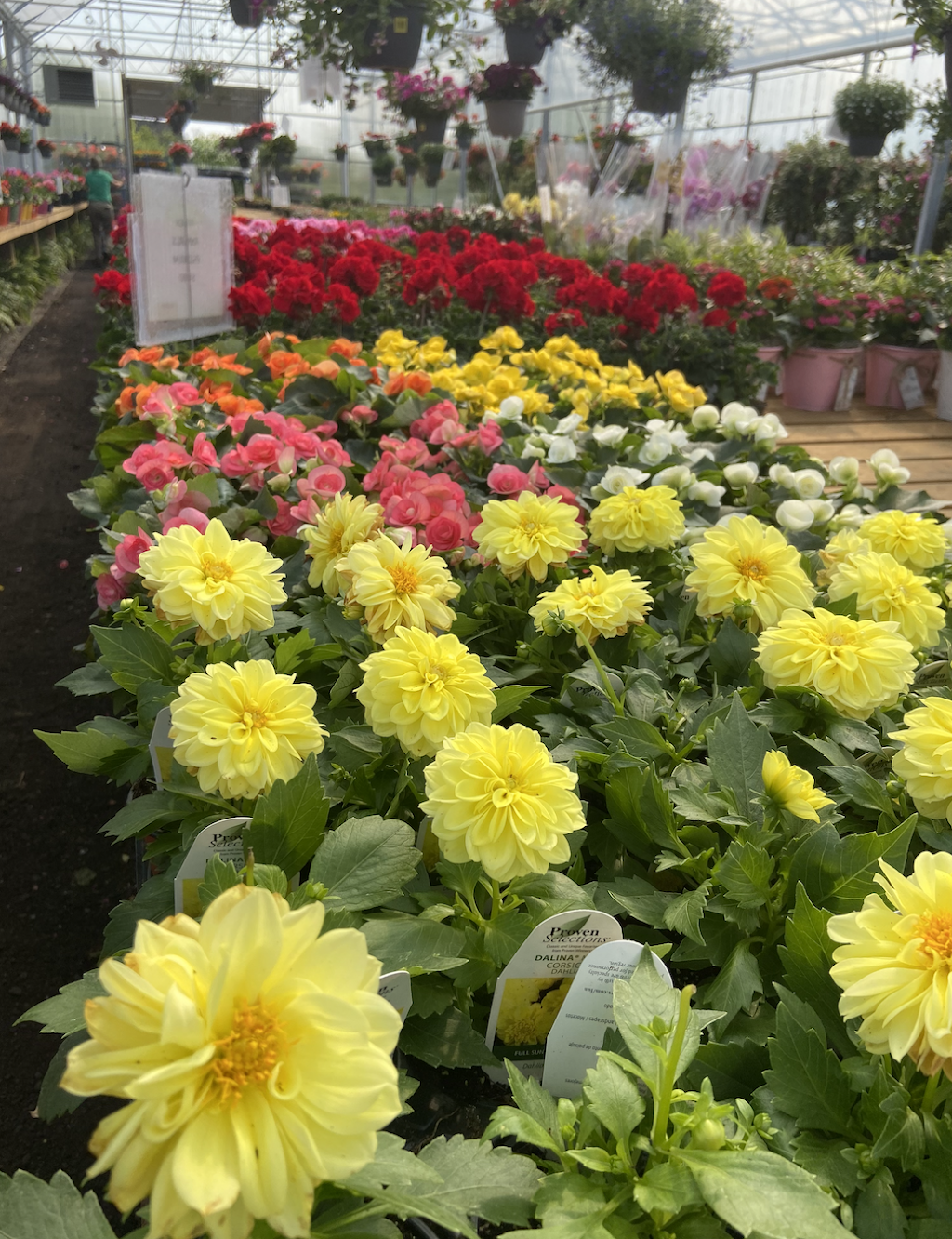 Mike and Loris Garden | 15617 County Rd 2, Brighton, ON K0K 1H0, Canada | Phone: (613) 439-8838