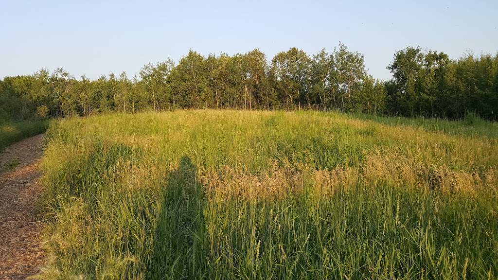 Assiniboine Forest | 55 Pavilion Crescent, Winnipeg, MB R3P 2N6, Canada | Phone: (204) 927-6000