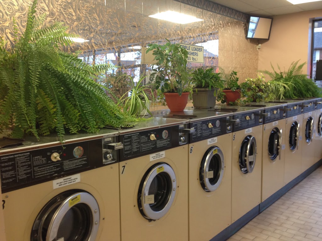 Colonial Cleaners & Laundromat | 230 Main St W, Port Colborne, ON L3K 3V5, Canada | Phone: (905) 834-5151