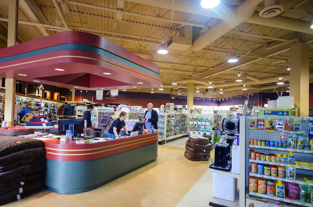Pet Food N More | 20398 Dewdney Trunk Rd #120, Maple Ridge, BC V2X 3E3, Canada | Phone: (604) 460-9192