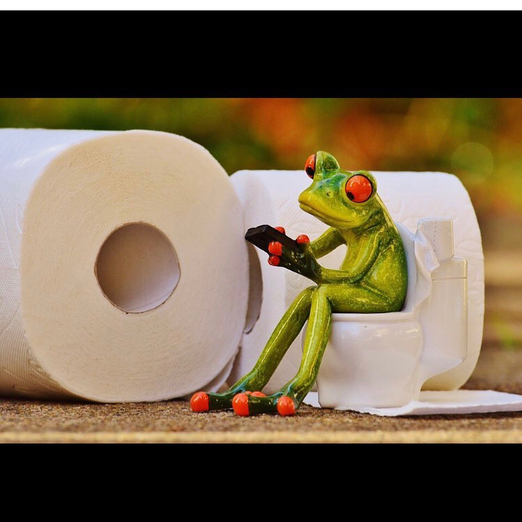 Challi plumbing Ltd | 5 fountainblue dr, North York, ON M2M 1P1, Canada | Phone: (647) 770-1509