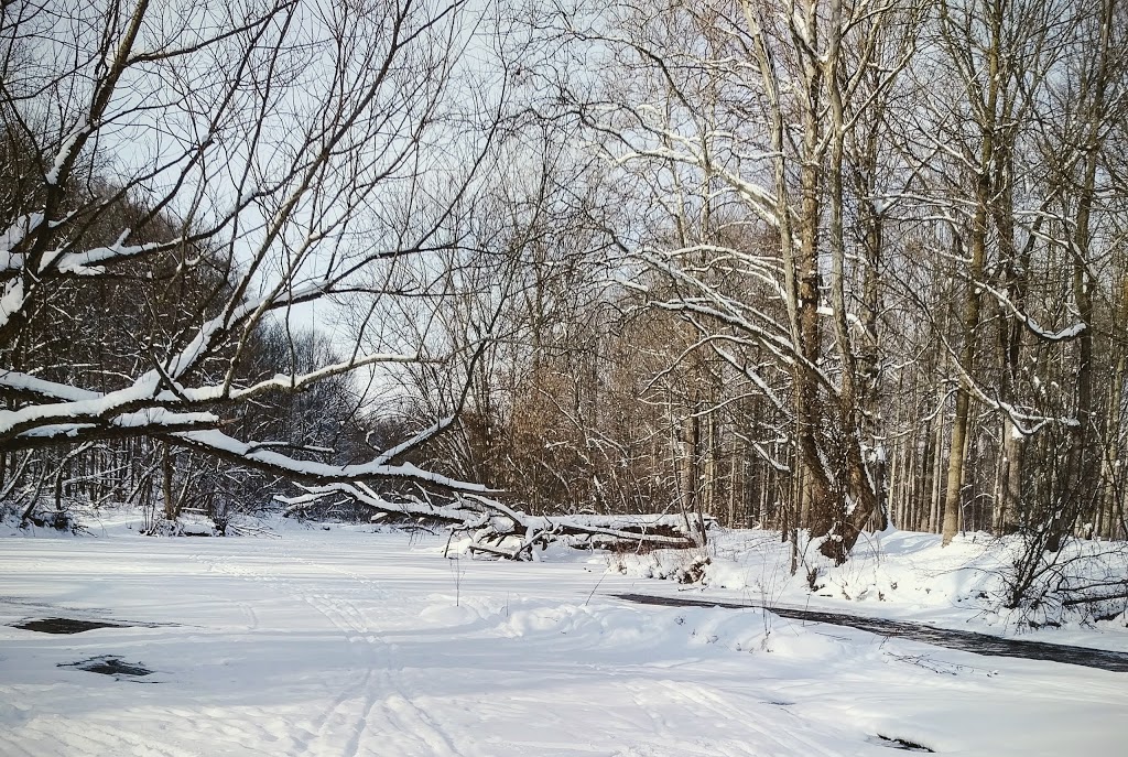 Medway Valley Heritage Forest | London, ON N6G 3M6, Canada | Phone: (519) 661-4500