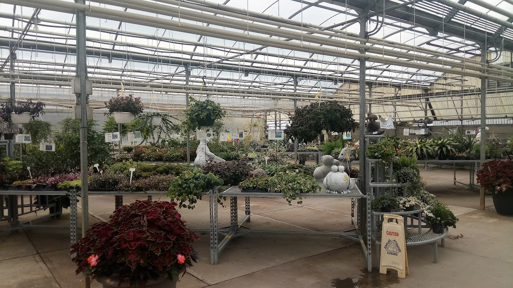 Arber Greenhouses Ltd | Wetaskiwin County No. 10, AB T9A 2Y9, Canada | Phone: (780) 352-7520