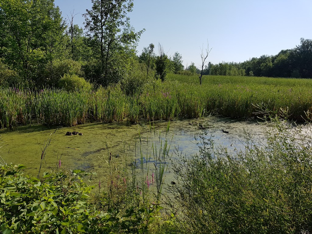 Parc de lArrondissement | La Prairie, QC J5R 6K4, Canada