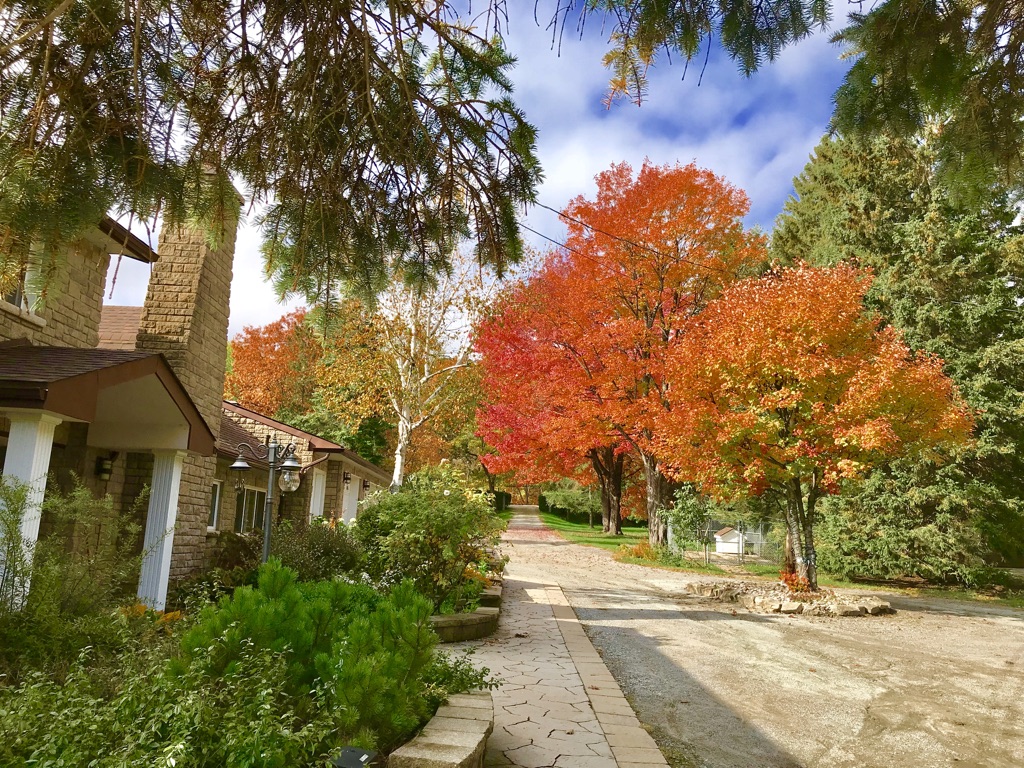 Auberge Tom B&B | 1090 Route 105, Chelsea, QC J9B 1P3, Canada | Phone: (819) 918-0024