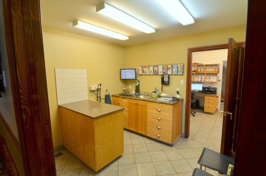 Clinique Vétérinaire Cowansville | 125 Rue Robert, Cowansville, QC J2K 3J6, Canada | Phone: (450) 263-1414