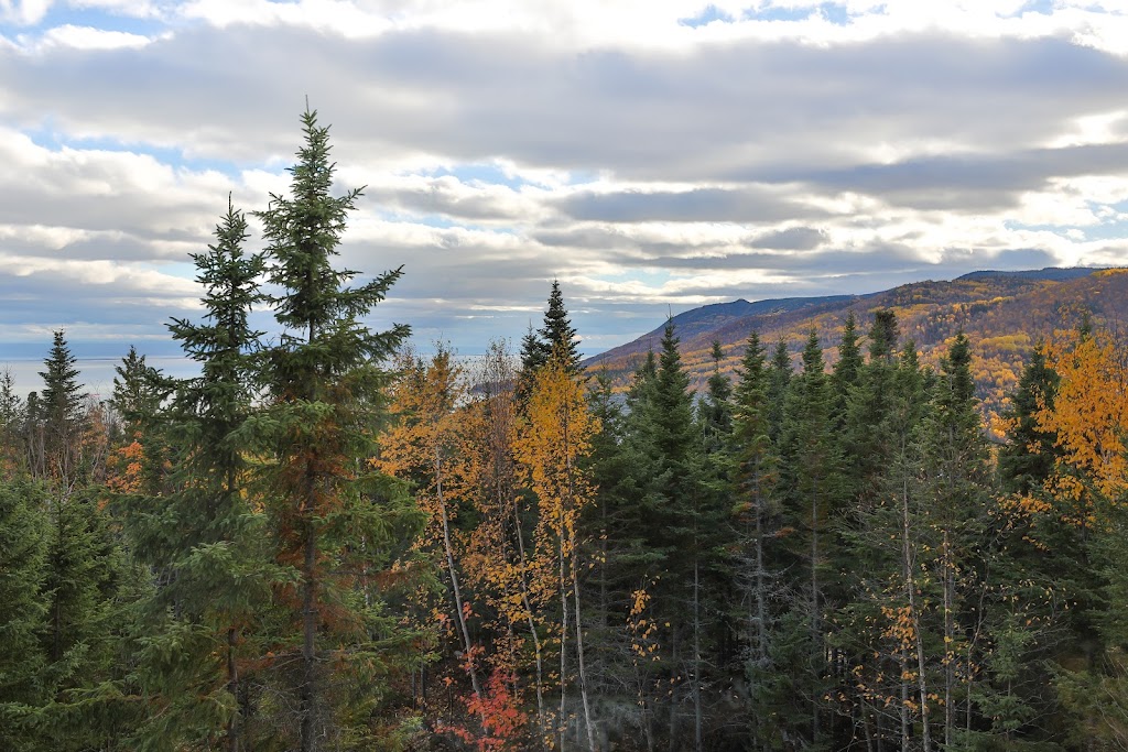 Sommets Charlevoix | 15 Chem. Du Versant, Petite-Rivière-Saint-François, QC G0A 2L0, Canada | Phone: (877) 469-0909