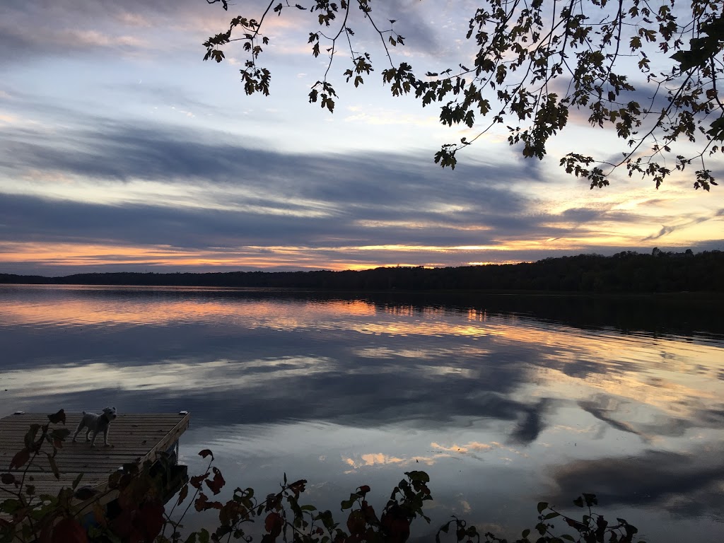 Firefly Folly | 112 McKenzie Ln, Prince Edward, ON K0K, Canada | Phone: (613) 237-2078