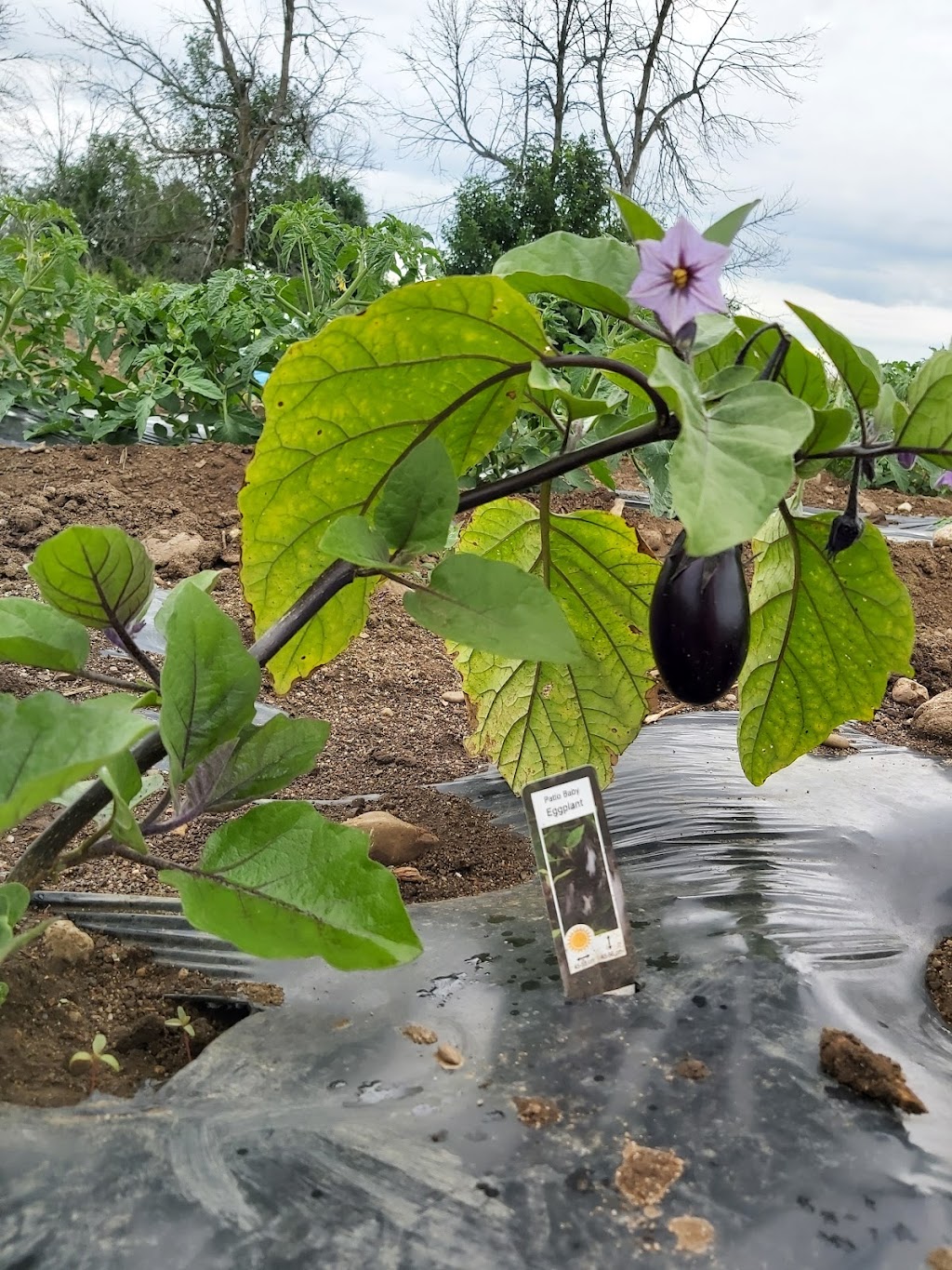 www.FarmAndFriends.ca | 2690 Stagecoach Rd, Osgoode, ON K0A 2W0, Canada | Phone: (613) 900-2705