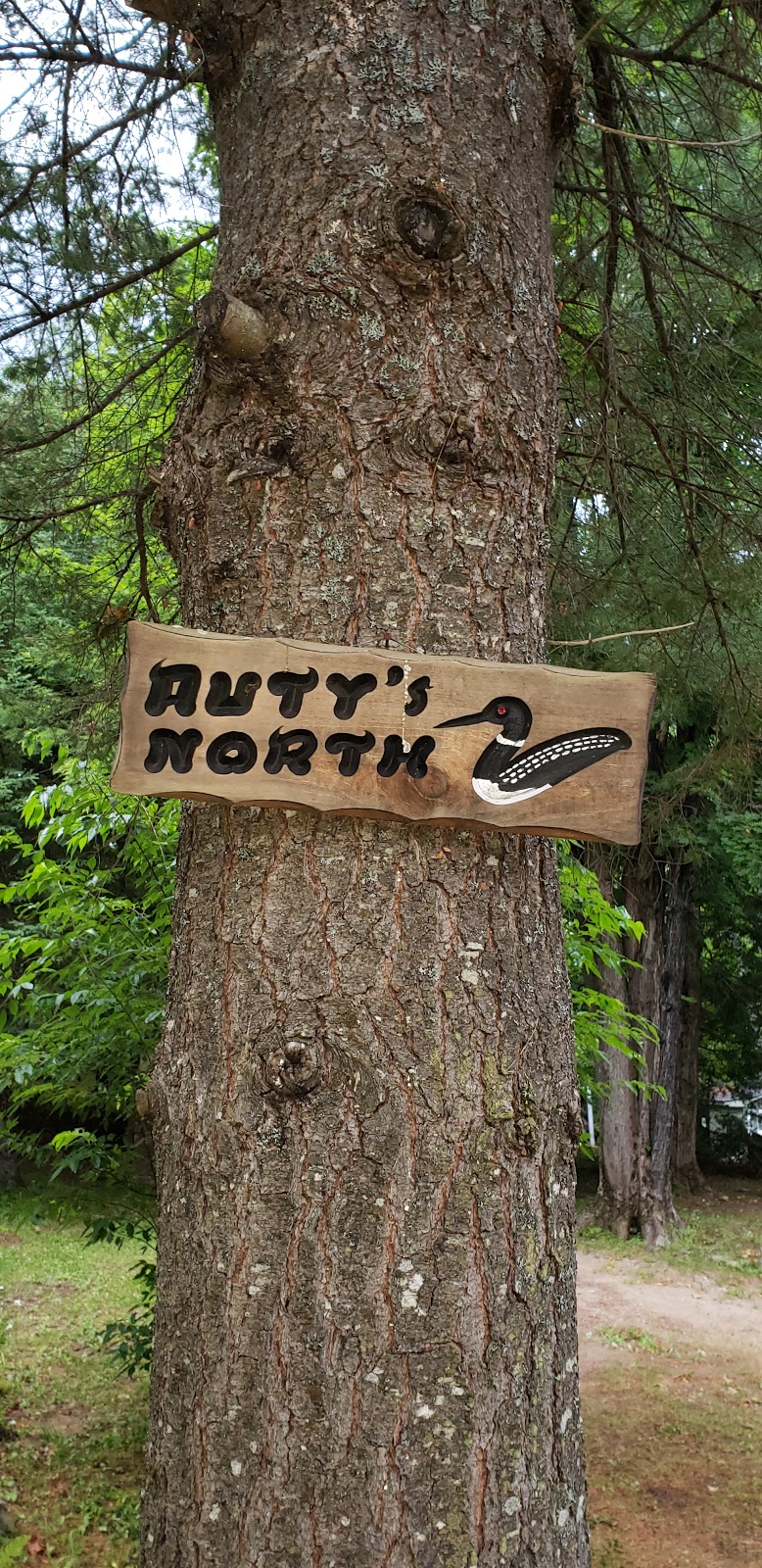 Autys North Davis Lake | 1003 Lane Lilypad, Minden, ON K0M 2A1, Canada | Phone: (647) 393-4444