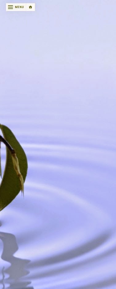 Balanced Healing Acupuncture Clinic | 4747 Hastings St, Burnaby, BC V5C 2K8, Canada | Phone: (604) 298-0600