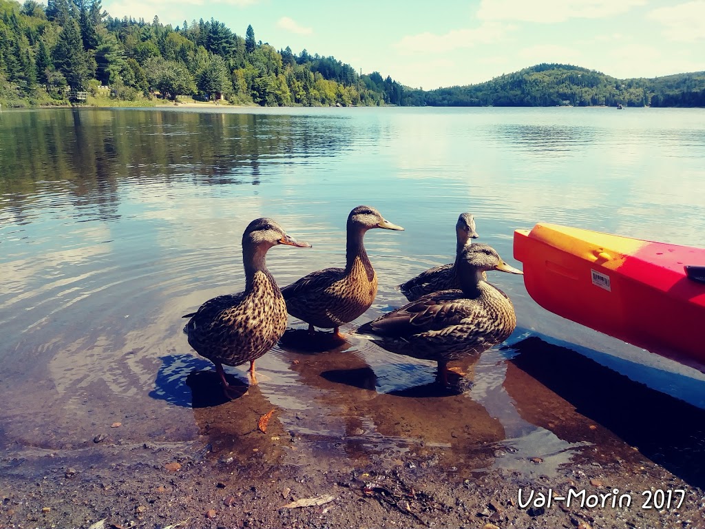 Lac Raymond | 1789 7e Av #1741, Val-Morin, QC J0T 2R0, Canada