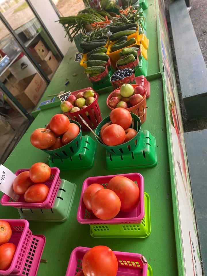 Jardin maraîcher F.Hebert | 515 Rang du Haut Corbin, Saint-Damase, QC J0H 1J0, Canada | Phone: (450) 797-2187