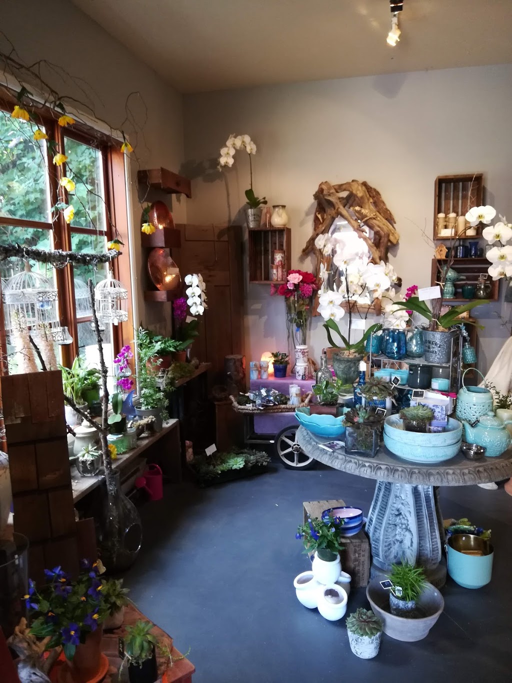 Bowen Island Flower Shop | 559 Artisan Ln, Bowen Island, BC V0N 1G0, Canada | Phone: (604) 947-2278