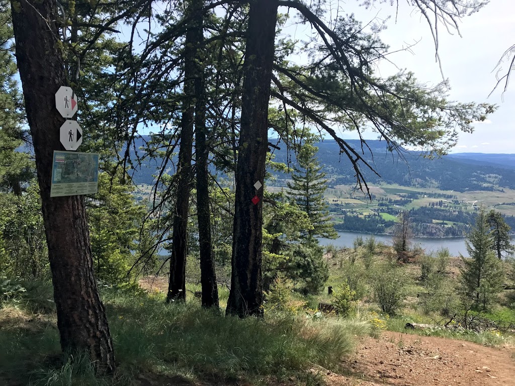 Tower lookout | Tower Trail, Lake Country, BC V4V 2P1, Canada