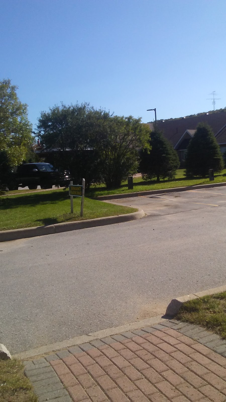 Maple View | 2117 Loop Rd, Wilberforce, ON K0L 3C0, Canada | Phone: (705) 448-3652