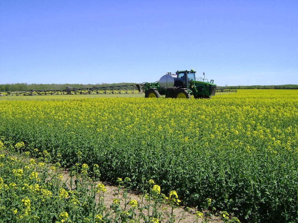 Claussen Farms Custom Farming Inc. | 76402 Airport Line, Brucefield, ON N0M 1J0, Canada | Phone: (519) 233-3198