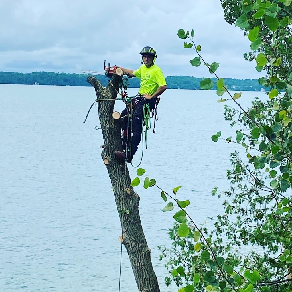 Northshore Tree Experts | 15 Oakley Park Square, Barrie, ON L4M 2J9, Canada | Phone: (705) 315-0210