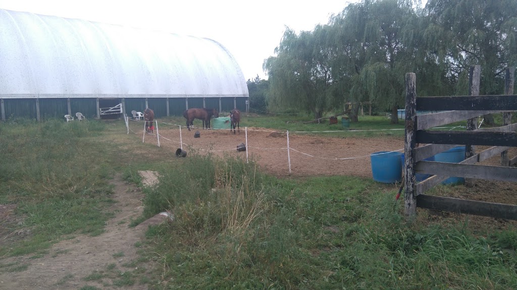 Tanglewood Farm | 31 Zufelt Rd, Consecon, ON K0K 1T0, Canada | Phone: (613) 392-8239