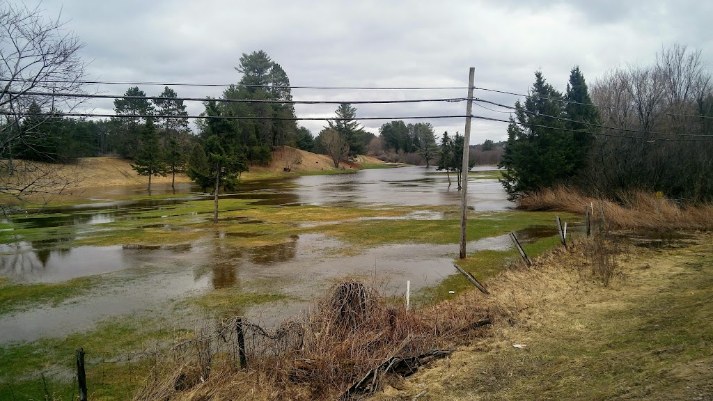 Deep River Golf Club | 16 Mcelligott Dr, Deep River, ON K0J 1P0, Canada | Phone: (613) 584-3991