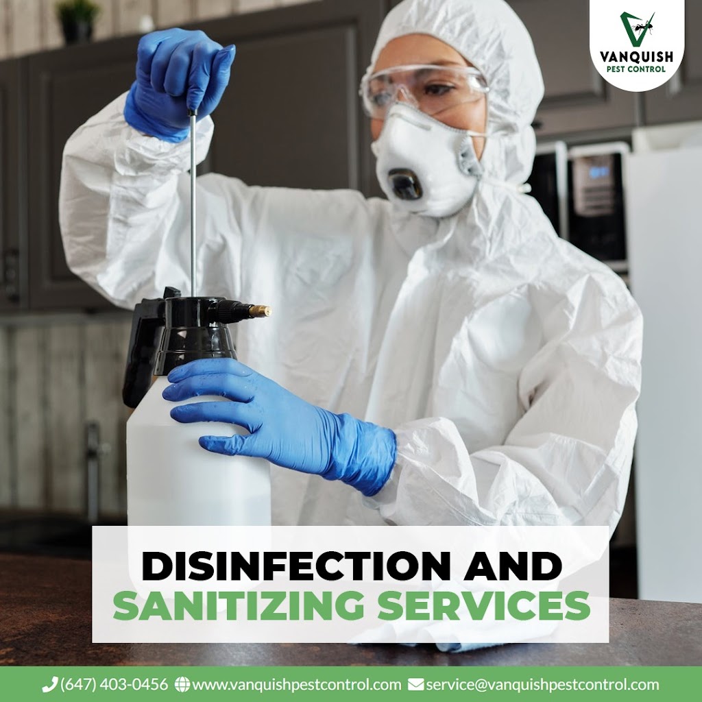 Vanquish Pest Control | 10 Demaris Dr, Brampton, ON L6R 3P5, Canada | Phone: (647) 403-0456