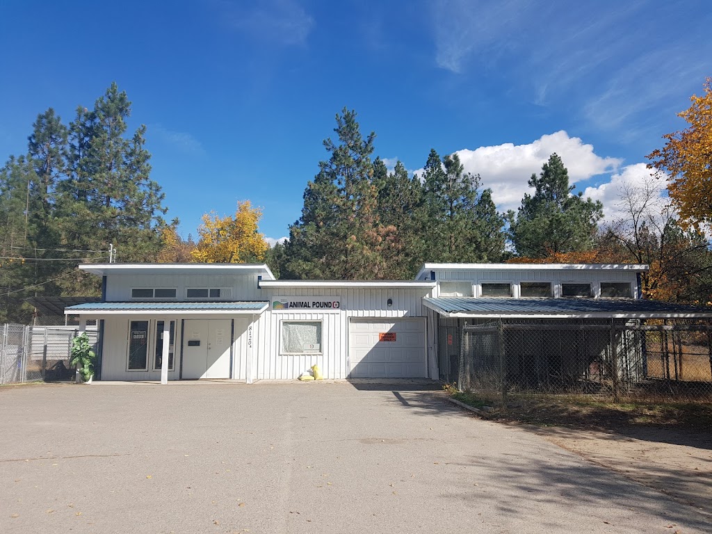Grand Forks Central Veterinary Services | 8120 A Donaldson Dr, Grand Forks, BC V0H 1H0, Canada | Phone: (250) 442-2222