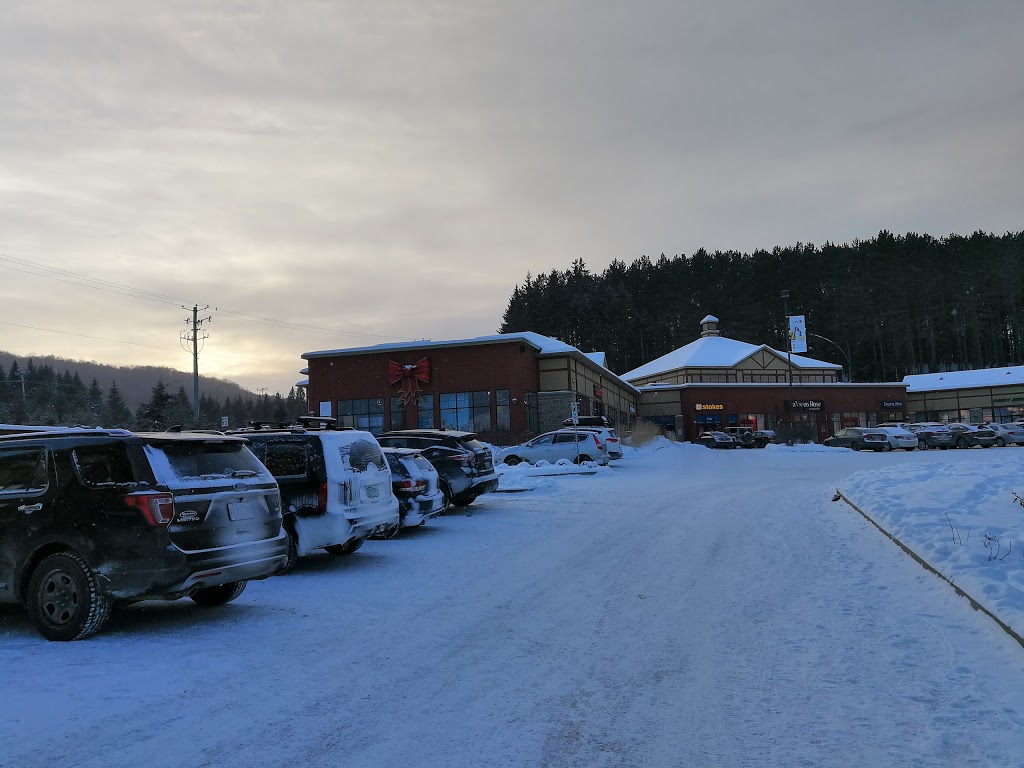 Factoreries Tremblant | 2555 Rue De LAulnaie, Mont-Tremblant, QC J8E 0E5, Canada | Phone: (514) 354-5920