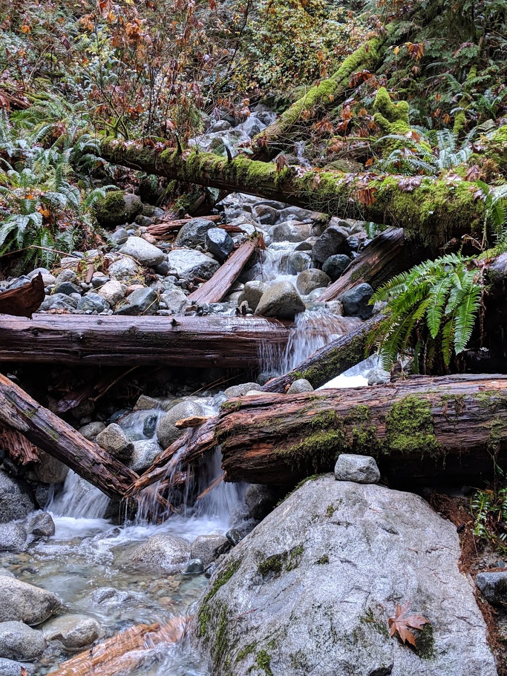 Panorama Park | Panorama Dr, North Vancouver, BC V7G 1L2, Canada | Phone: (604) 990-2311