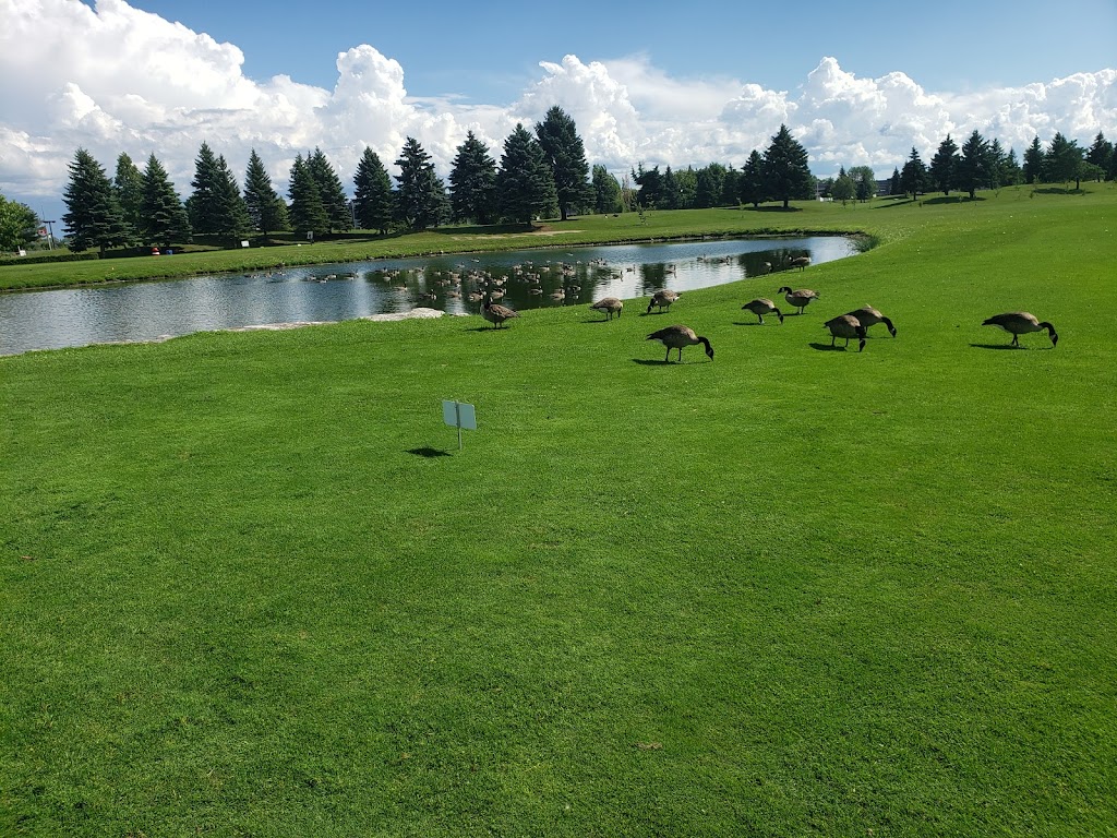 Golf Dorval | 2000 Av. Reverchon, Dorval, QC H9P 2S7, Canada | Phone: (514) 631-4653