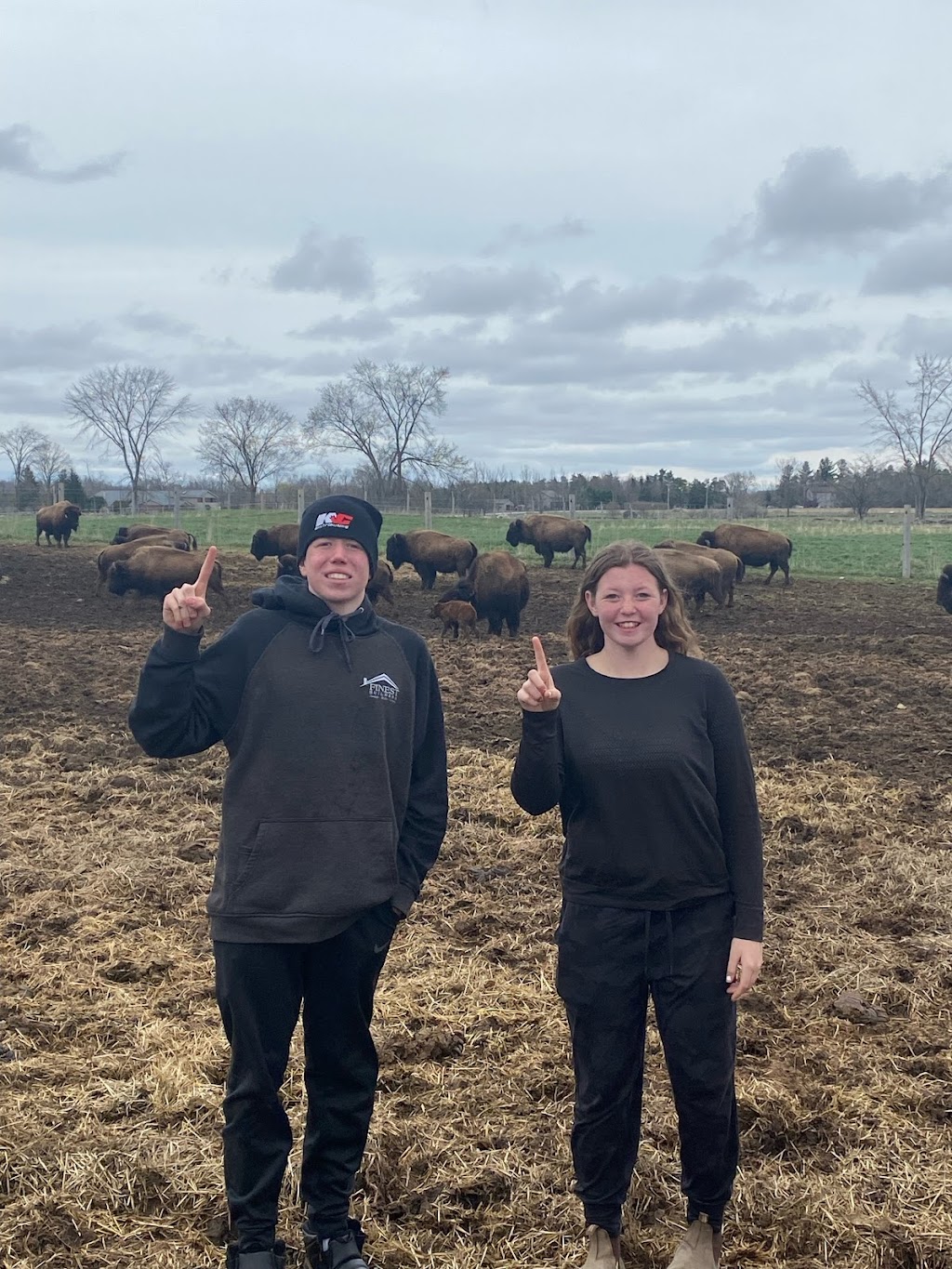 Shouldice Bison | Concession Rd 5, Georgian Bluffs, ON N0H 2K0, Canada | Phone: (519) 374-3390