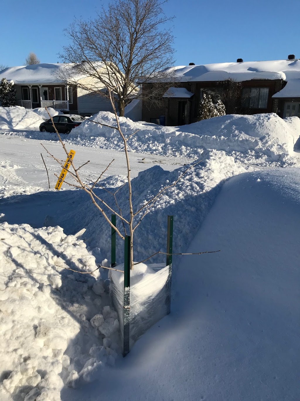 Déneigement croisetière | 468 D Rue Bourque, Repentigny, QC J5Z 5A2, Canada | Phone: (514) 968-3919